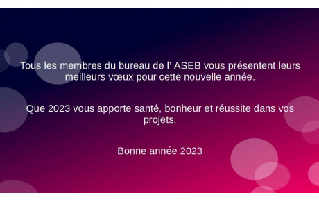 Bonne année 2023
